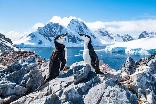 O Descoperire Importantă în Antarctica Dezvăluie Dovezi Neașteptate despre Schimbările Climatice