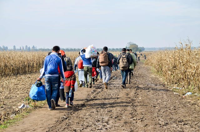 Dezmembrarea unei vaste rețele de trafic ilegal de migranți în România