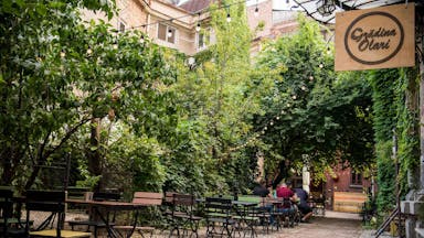 Oaze de răcoare în București: Grădini de vară încântătoare pentru a evita canicula