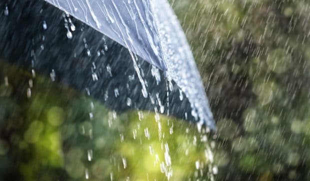 Cunoașteți fascinanta chimie a mirosului de ploaie? Descoperiți petrichorul și tainele sale naturale!