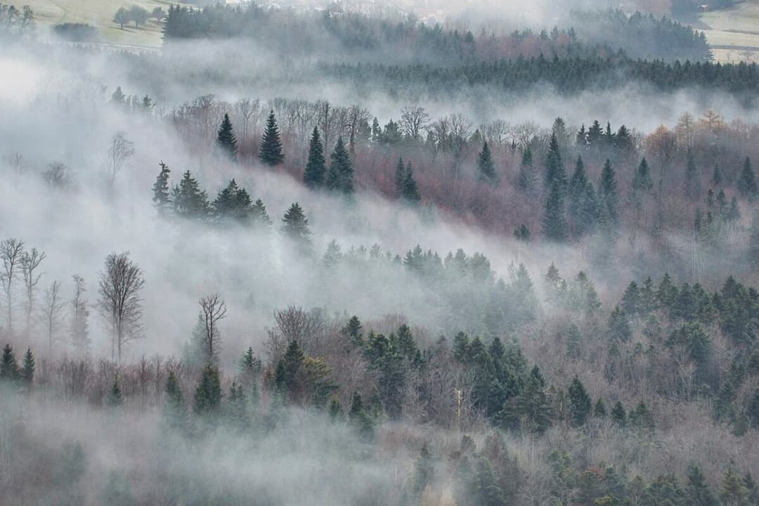  ninsori, ger și vijelii lovesc numeroase județe! Predictii meteorologice alarmante pentru o iarnă timpurie