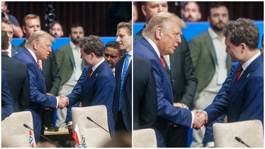 Ce s-a întâmplat de fapt între ei la summit-ul NATO din Haga?
