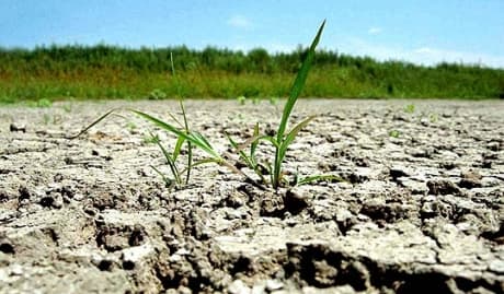  Provocările secetei pedologice şi evoluţia pozitivă în zonele cu rezerve de apă optime