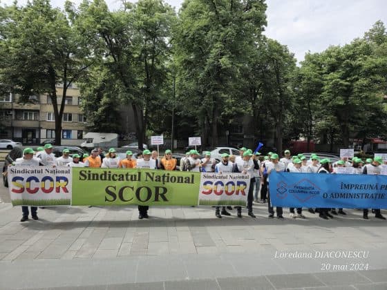  Concedieri și Reduceri Salariale Drastice Amenință Sistemul - Află mai multe despre opusul Ministerului Finanțelor și Urgența Reactualizării Standardelor de Cost.