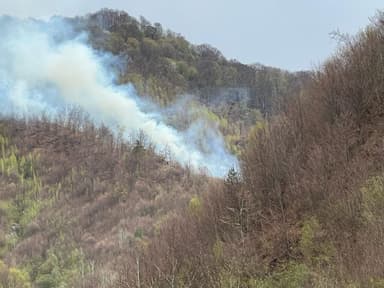  30 Hectare Afectate, 240 Tone de Apă Folosite pentru Stingere cu Elicoptere Black Hawk - Răspunsul DSU și Planuri pentru O Nouă Intervenție Luni Dimineață