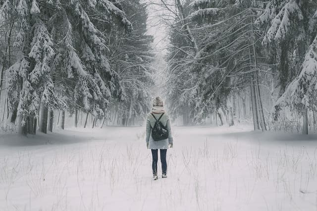  Brumă și Îngheț Până pe 10 Aprilie – Când Își Fac Simțită Prezența Maximele de Primăvară? Avertizări de Ninsoare și Viscol în România! Pregătește-te: Temperaturi Negative și Rafale Puternice de Vânt.