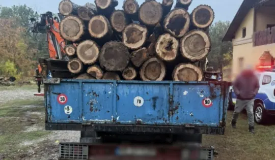 Giurgiu: 9 percheziții pentru braconaj; tânăr din Călugăreni, reținut