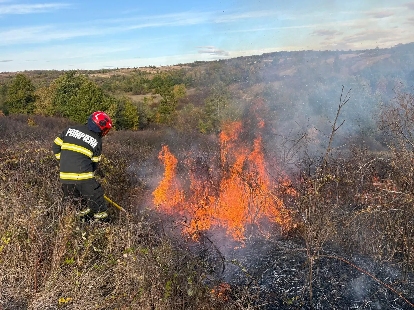 Timiș: peste 50 ha de vegetație uscată, cinci incendii