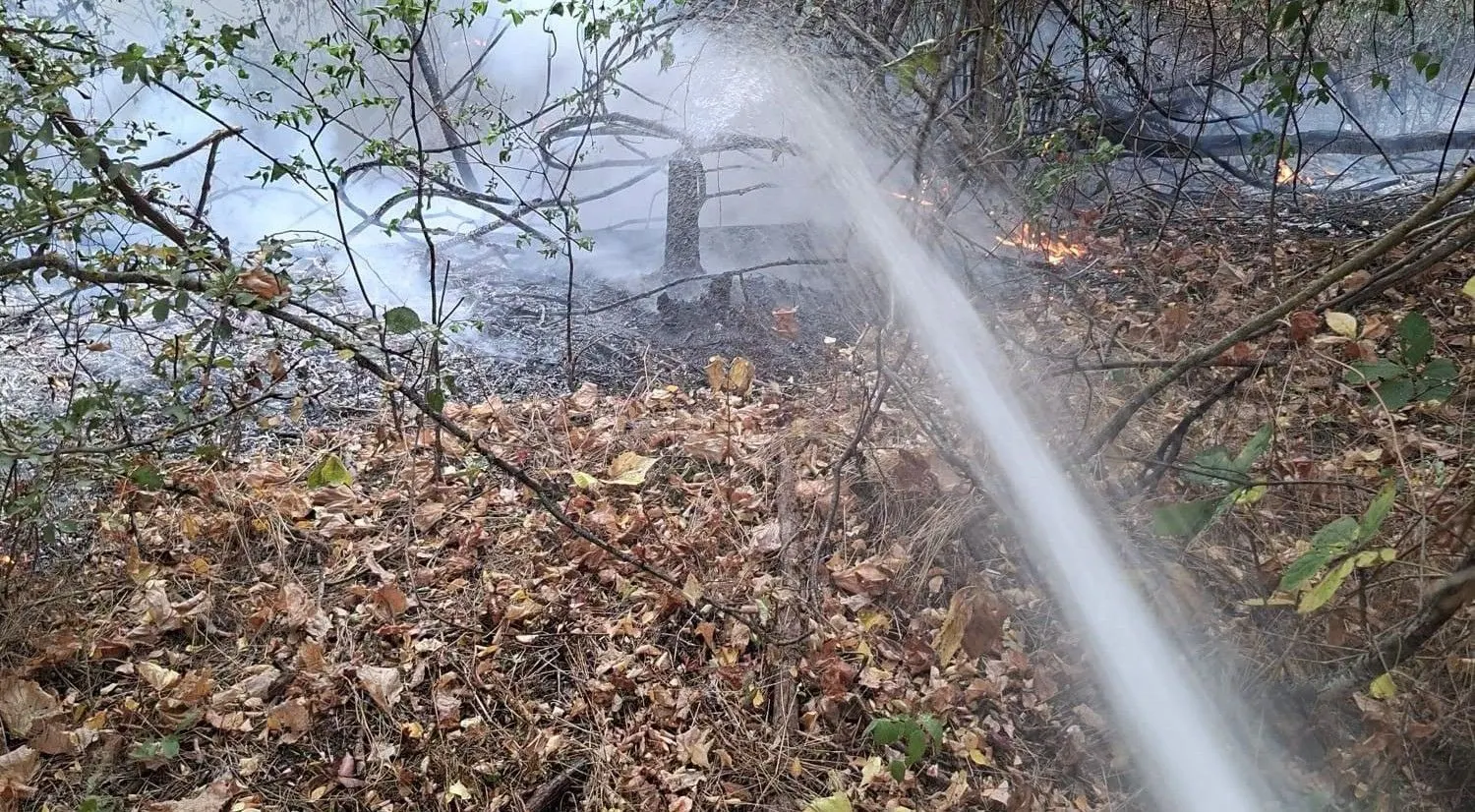 Tulcea, Greci: vegetație aprinsă, foc spre pădure