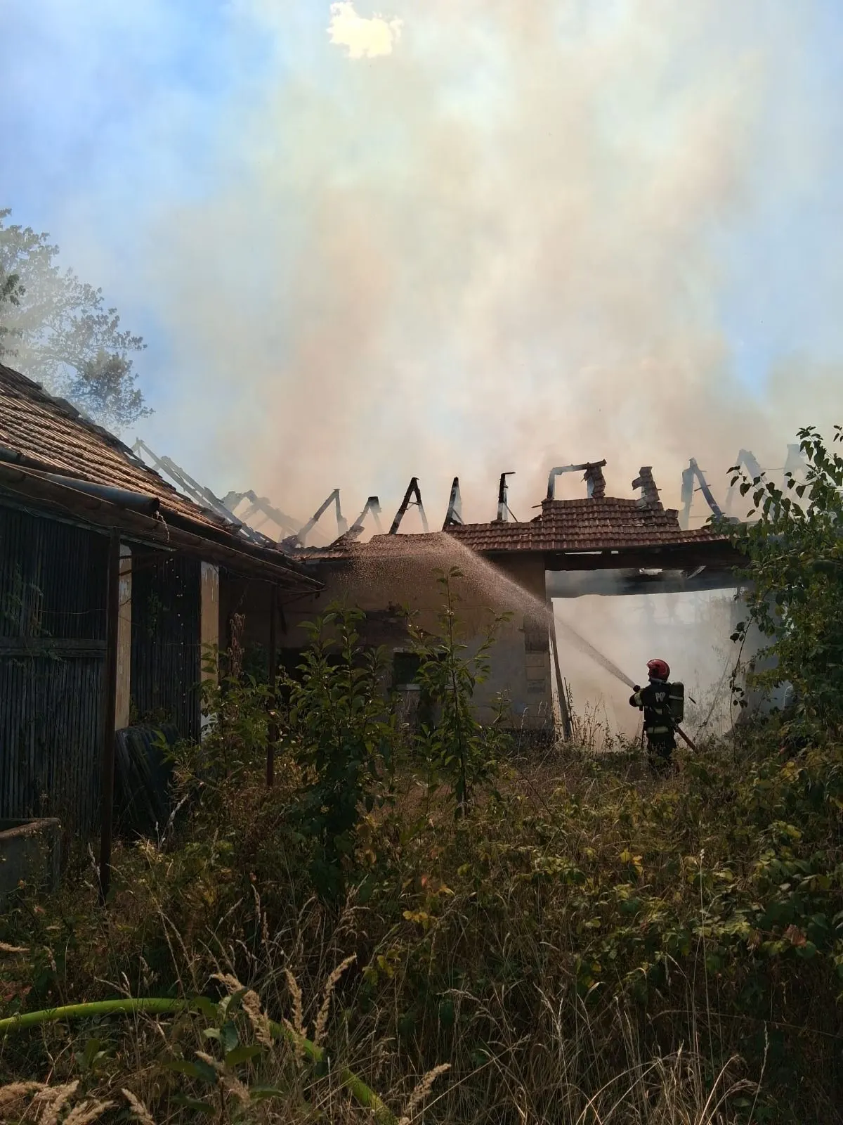 Incendiu pe pajiște la Șerghiș: circa 10 hectare